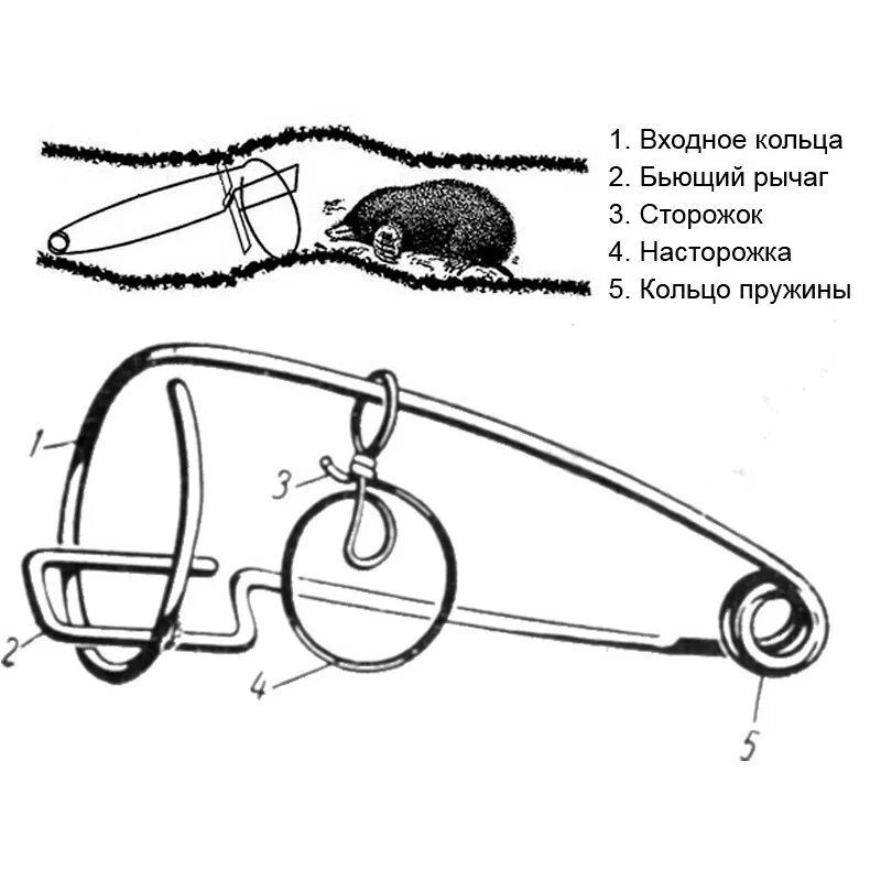 Капкан содержание. Кротоловка капкан. как поставить ловушку на крота. ловушка для отлова кротов и землероек. как установить ловушку для кротов.