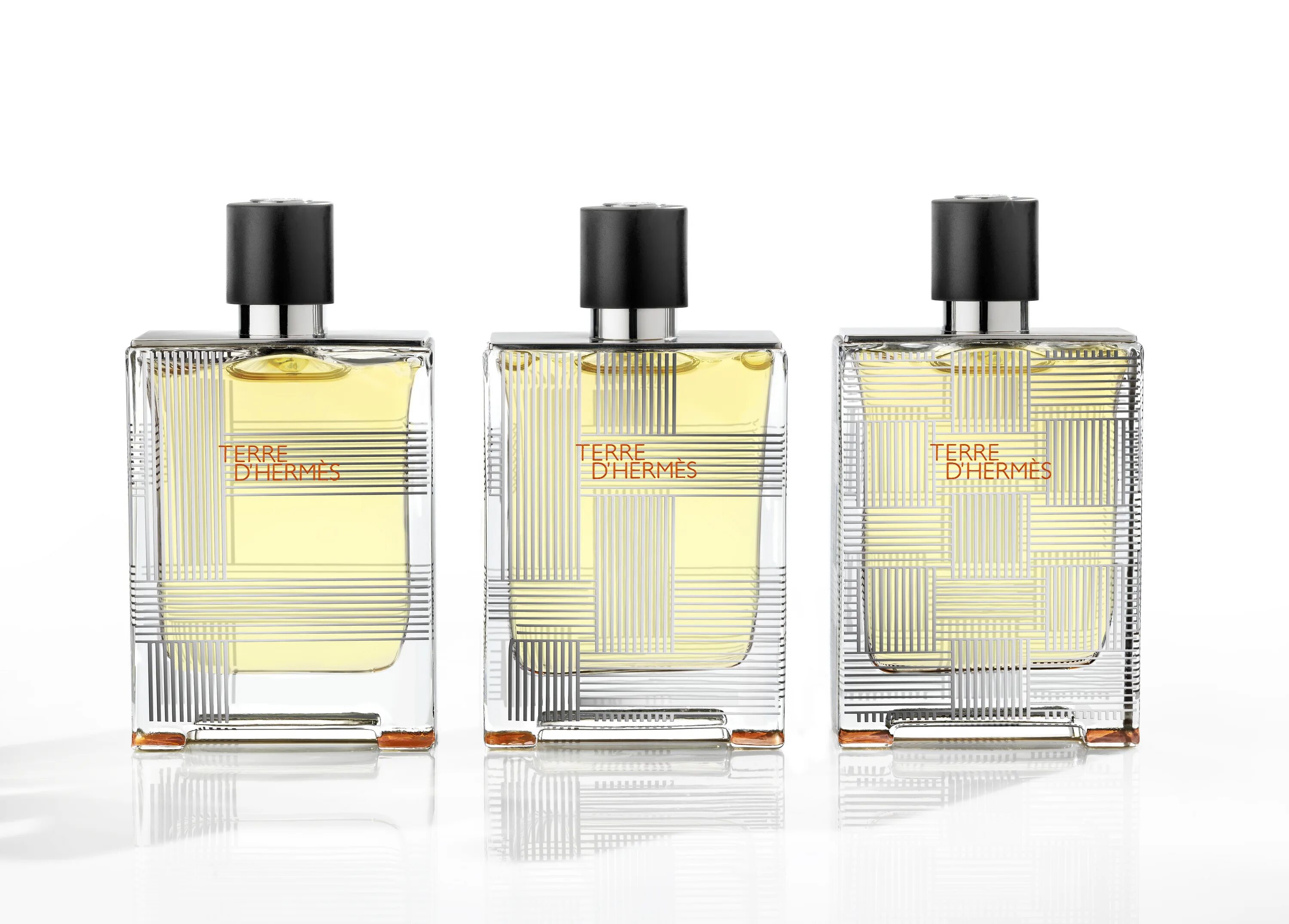 Туалетная вода hermes terre. Terre d Hermes туалетная вода 100 мл. Hermes Parfum Terre d'Hermes духи 100 мл. Hermes Terre d Hermes (мужские) 100ml туалетная вода. Terre d'Hermes Limited Edition m 100ml.