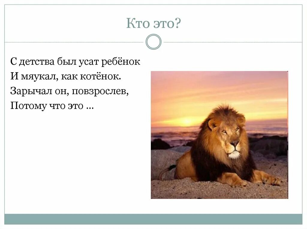 Стих про жаркие страны. Загадки про животных жарких стран. загадки про животных жарких стран для дошкольников. загадки про животных жарких стран для детей. животные жарких стран стихи.