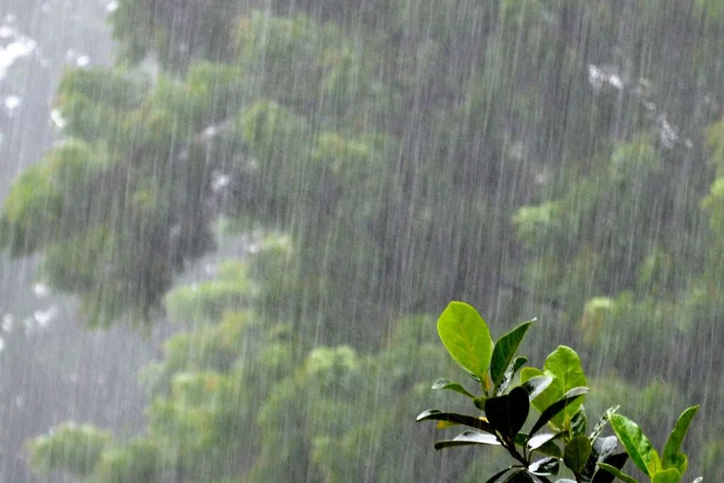 Дождь стеной песня. It's Rainy. - Дождливо.. Дождь стеной фото. Гавайи дождь. Карточка дождь.