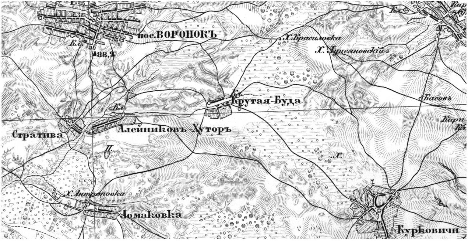 Стародуб брянская карта. Село Алейниково Стародубский район Брянской. Деревня Стародуб Брянская область. Село Алейниково Стародубского района Брянской области. Стародубский уезд Брянской губернии.