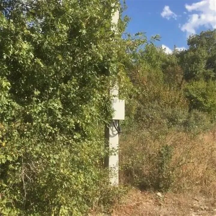 Сот здоровье анапа. Фото анапа снт здоровье природа. Каштановая 2. Участок земли анапа. Фото снт здоровье анапа вид.