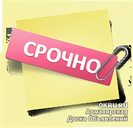 Срочно напишите