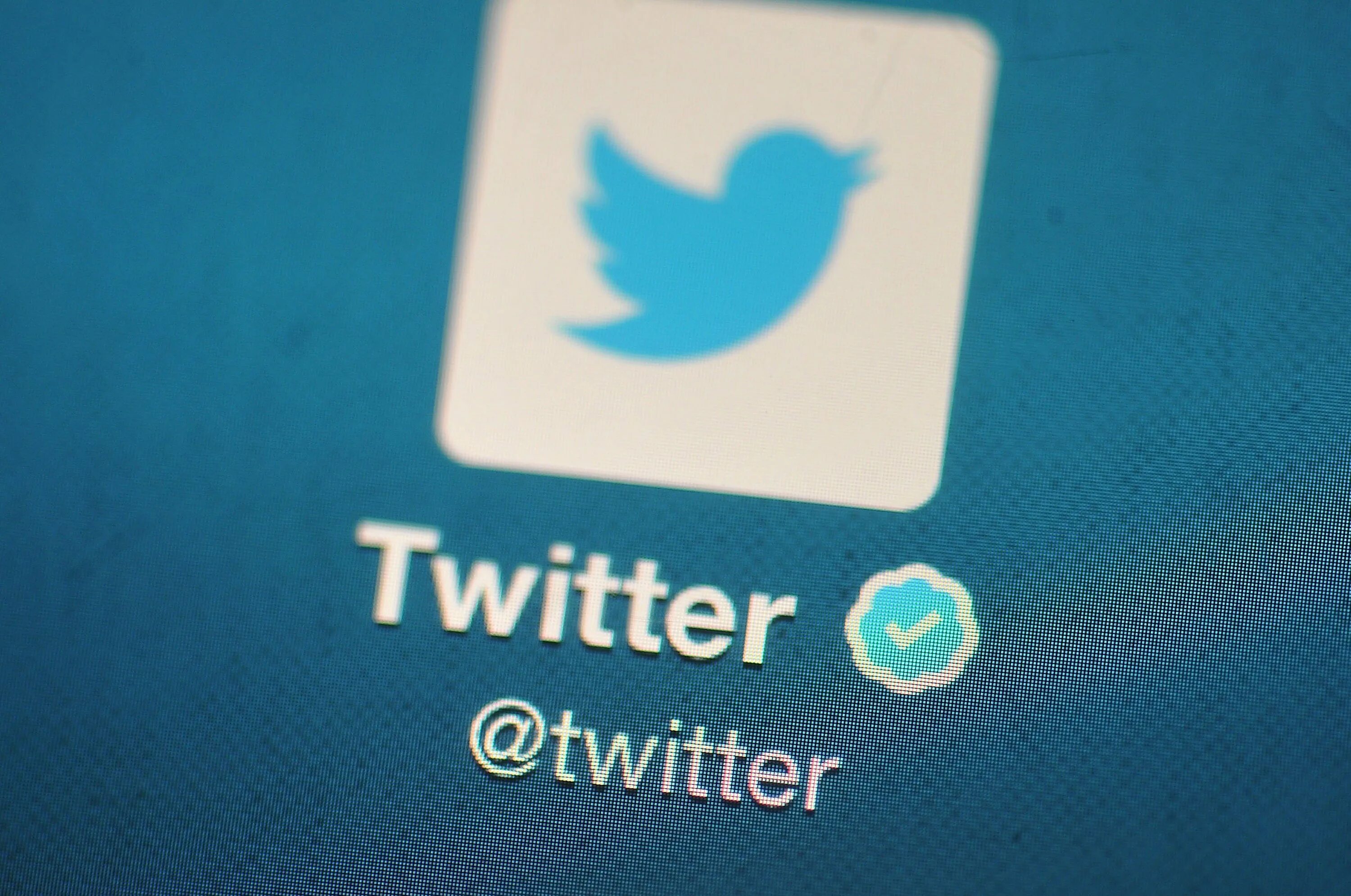 Twitter website. Твиттер. «twitter» — социальная сеть. фото для твиттера. логотип твиттер фото.