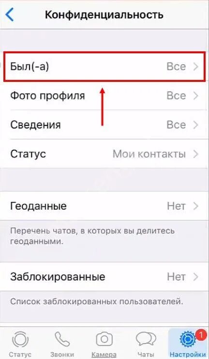 Как скрыть время на ватсап айфон. Как отключить в вотсапе время посещения. как скрыть время посещения в whatsapp на iphone. как в ватсапе скрыть время посещения. как в ватсапе скрыть время посещения на айфоне 7.