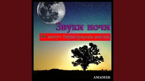 Музыка звук ночи