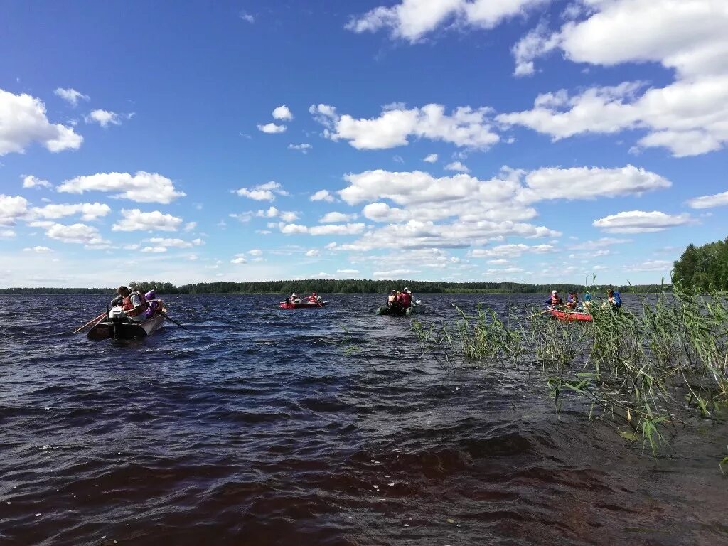 Питерский клуб рыболовов. Клуб рыбаков. Новости с водоемов 2019. Посёлок золотой карп екатеринбург. Зимняя рыбалка на ладоге.