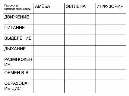 Питание амеба эвглена инфузория