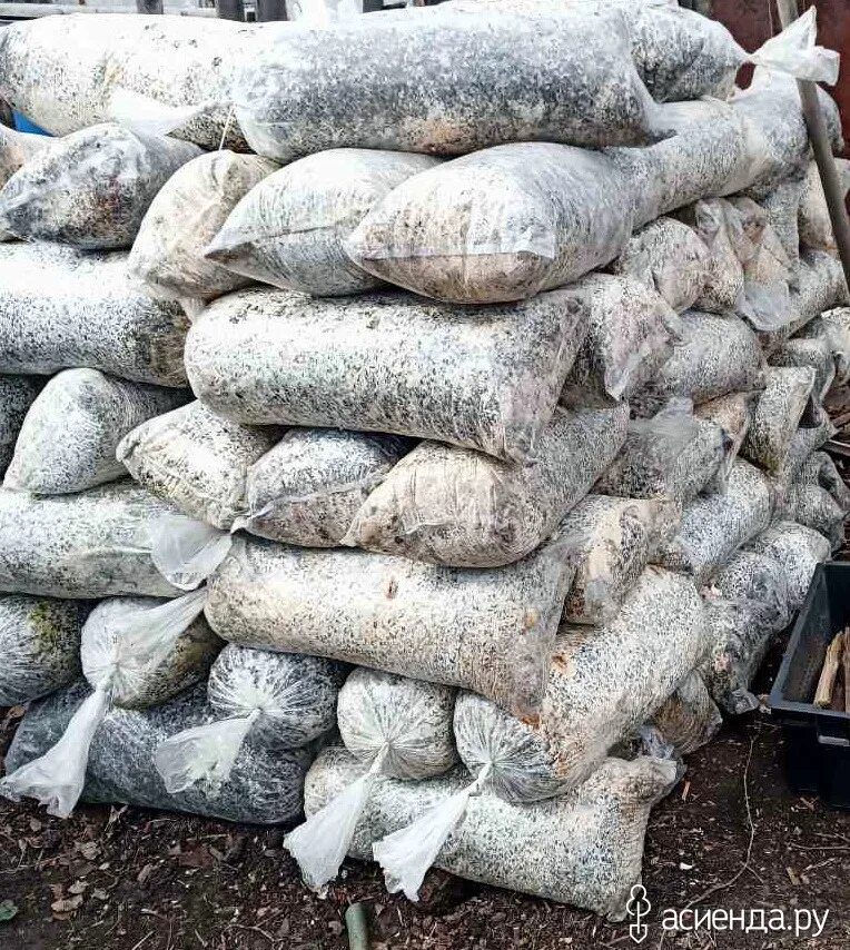 Грибные блоки бишкек. Станок для производства бетонных блоков. Отработка блоков. Станок для производства отсевоблоков. Отработанные грибные блоки мульча.