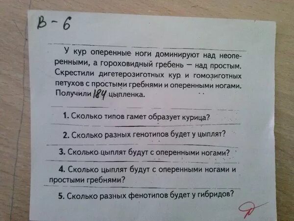 При скрещивании петуха с оперенными. У кур оперенные ноги доминируют над неоперенными. у кур оперенные ноги доминируют над голыми. у кур укороченные ноги доминируют над нормальными.