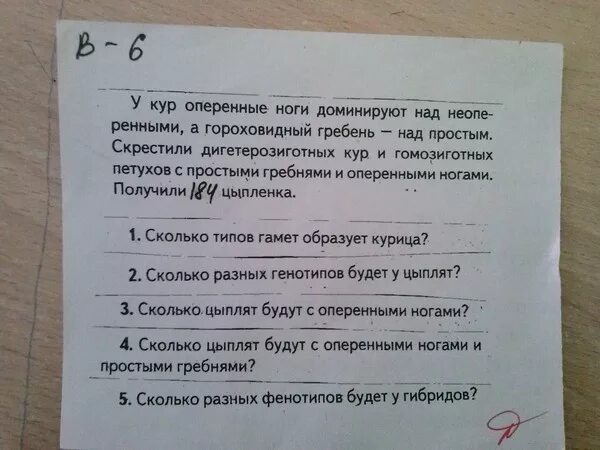 При скрещивании курицы с листовидным гребнем. У кур оперенные ноги доминируют над неоперенными. У кур оперенные ноги доминируют над голыми. У кур ноги доминируют над неоперенными а гороховидный гребень.