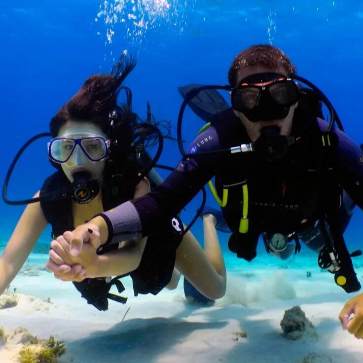 Dive want