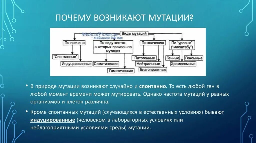 Фактор вызывающий наследственные изменения. Из за чего происходит мутация. Причины мутационного процесса. Процесс образования мутаций. Мутация клеток причины.