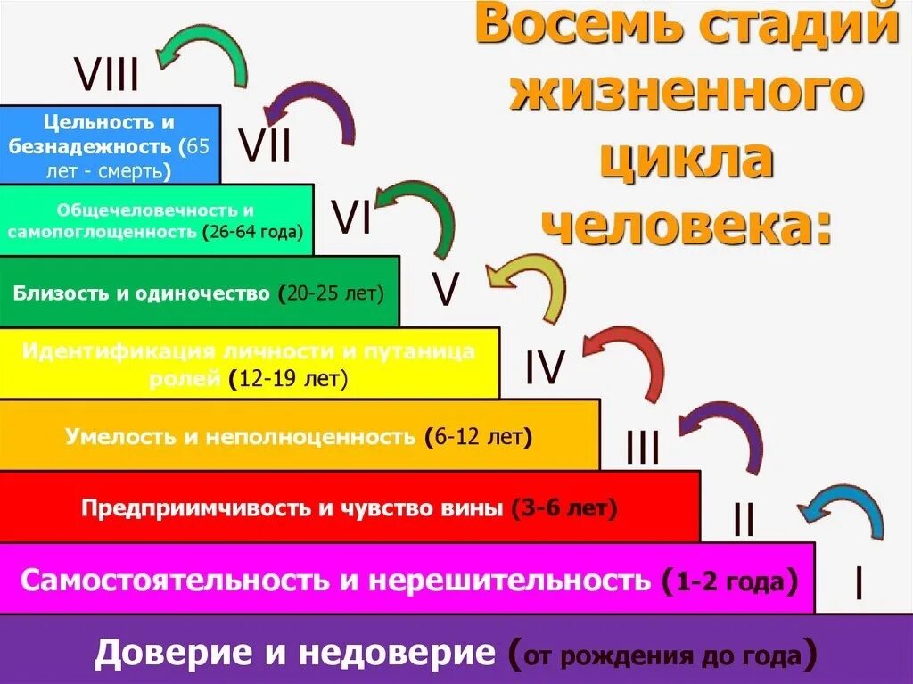 Жизненный цикл потребностей. Жизненные циклы по Эриксону. Жизненный цикл человека. Стадии жизненного цикла человека. Стадии развития по Эриксону.