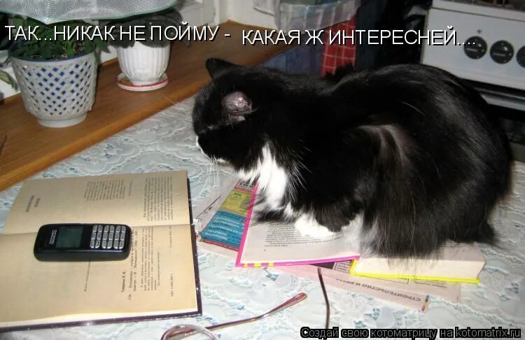 Вот как то так но никак иначе. Котоматрица позвони мне позвони. позвони мне позвони переделанная. вот так так и никак иначе. заколдовали приколы.