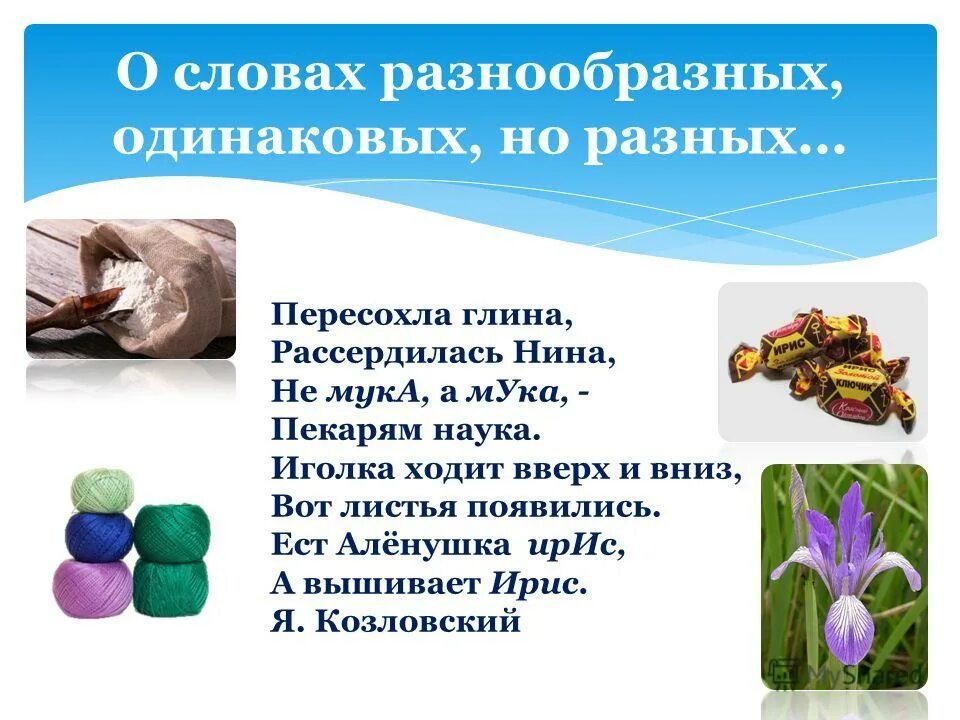 Стрелки стрелки омографы. Ирис омонимы. Растения цветущие омонимы. Иголка ходит вверх и вниз вот листья. Слова с разным ударением но одинаковым написанием.