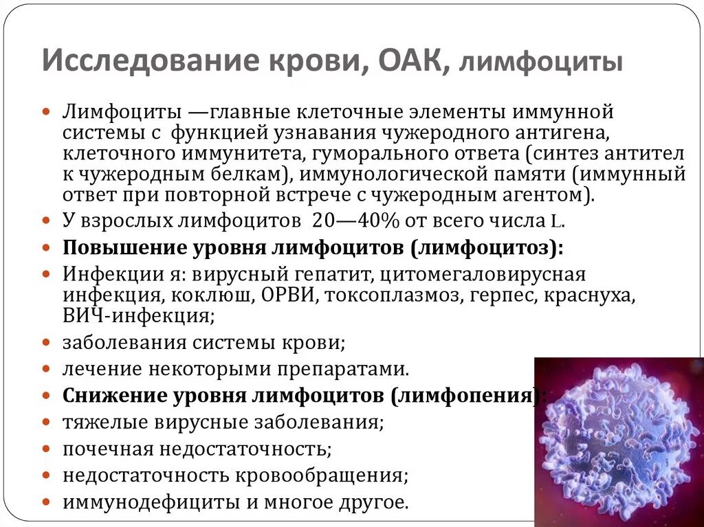 Задачи заболевание крови. Повышение и понижение лимфоцитов. Снижение количества лимфоцитов. Причины повышения и понижения лимфоцитов. Лимфоциты в крови.