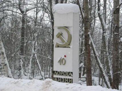 Номер дороги жизни