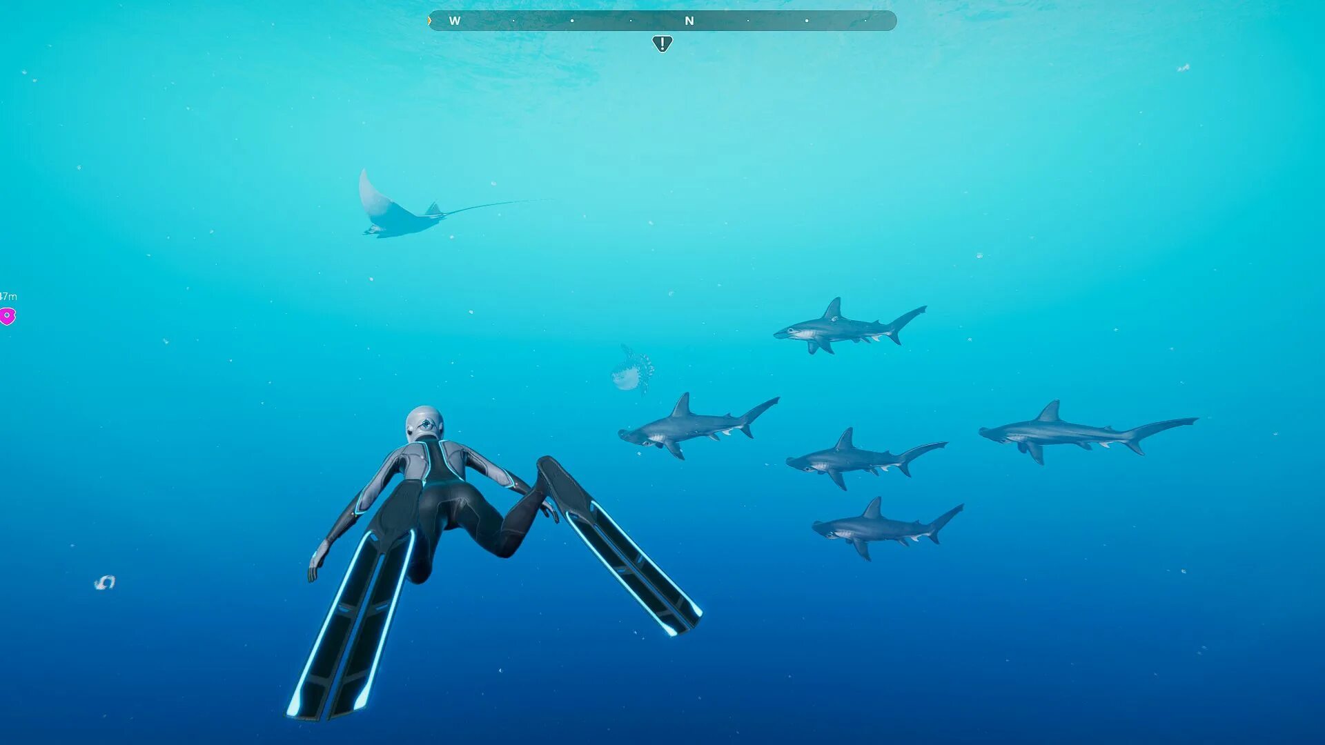 море синего леса шоу