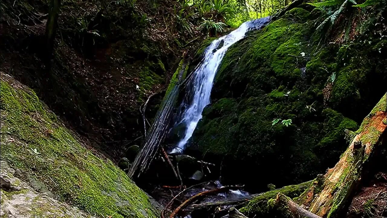 текут весенние ручьи. ручьи весной. ручеек стихотворение. бегут ручейки. бегут ручьи.
