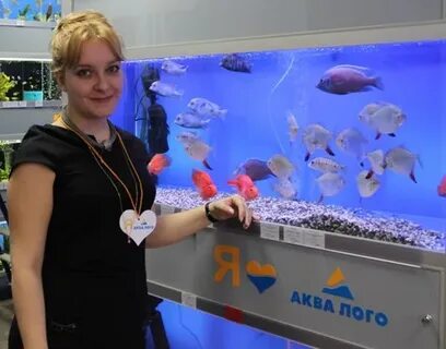 Аква лого