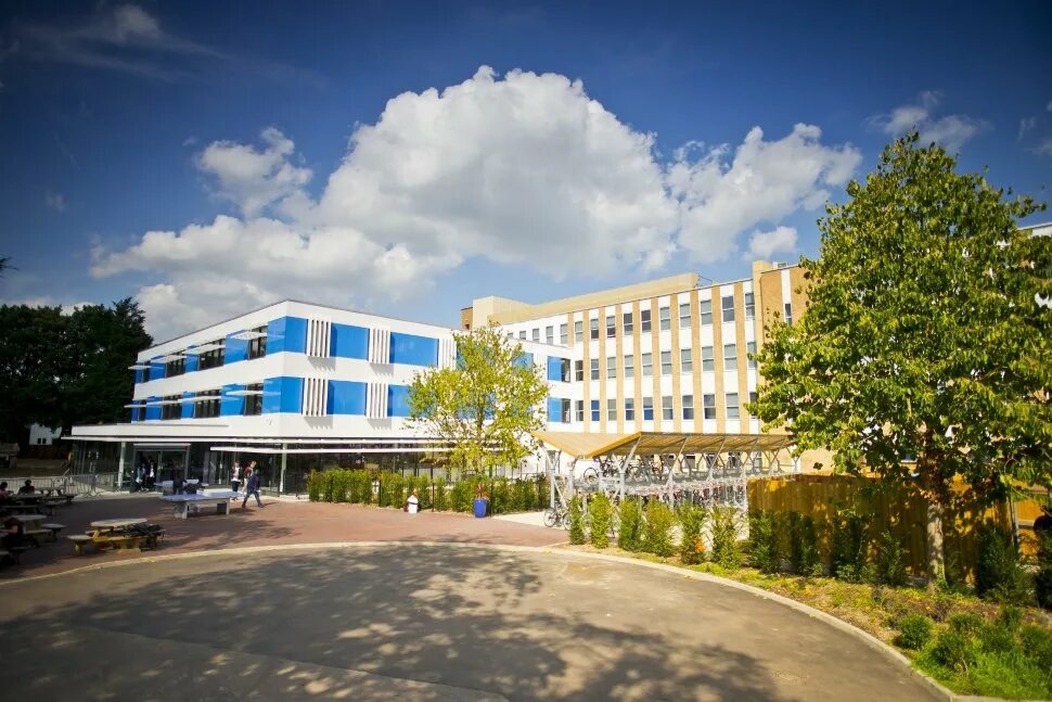 Cat university. Cats cambridge. cats college. кембридж учебный центр в ташкенте. cats college canterbury.