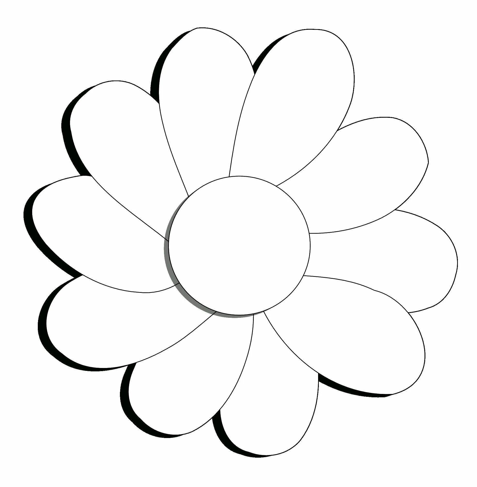 Картинка ромашка шаблон. Ромашка контур. ромашка раскраска. ромашка трафарет для вырезания. ромашка черно белая.