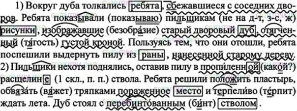 Русский 7 169. Вокруг дуба толпились ребята сбежавшиеся с соседних. Русский язык 7 класс 86. Русский язык 7 класс ладыженская упражнение 86. Русский язык 7 класс номер 86.