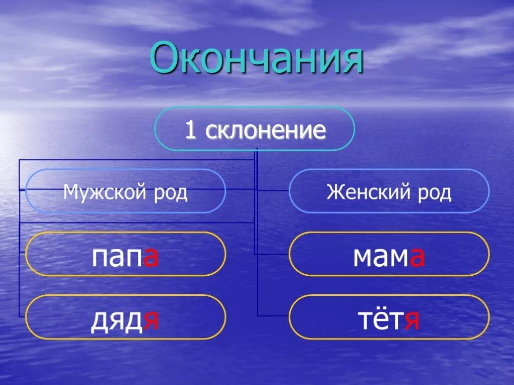 Имена существительные относятся к. Слова которые относятся к женскому роду. Существительные общего рода примеры. Существительные мужского рода. Женский род скл.