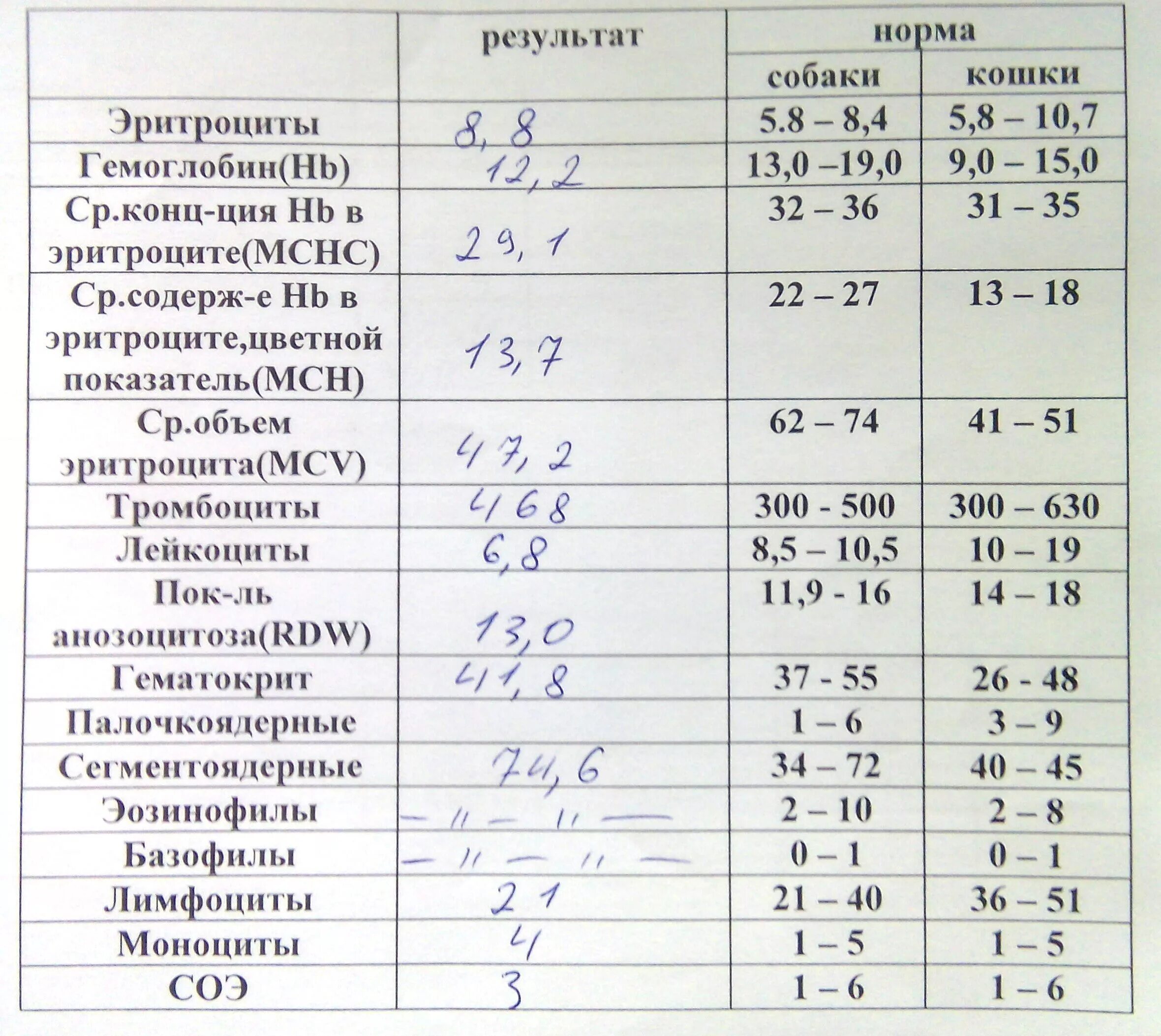 Какие нужно сдать анализы для проверки печени. Печеночные показатели биохимического анализа крови. Печеночные показатели биохимического анализа крови нормы. Норма показателей печени в анализе крови. Печеночные показатели биохимического анализа крови нормы женщины.