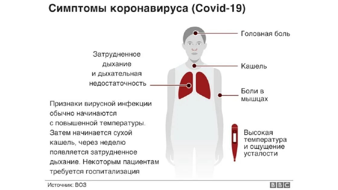 Заболевания на 14 дней. Основные симптомы коронавируса. Симптомы карогавирус а. СИМПТОМЫК короновируса. Основные симптомы коронв.