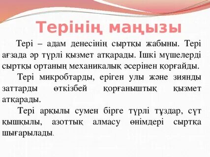 Терінің құрылысы мен қызметі