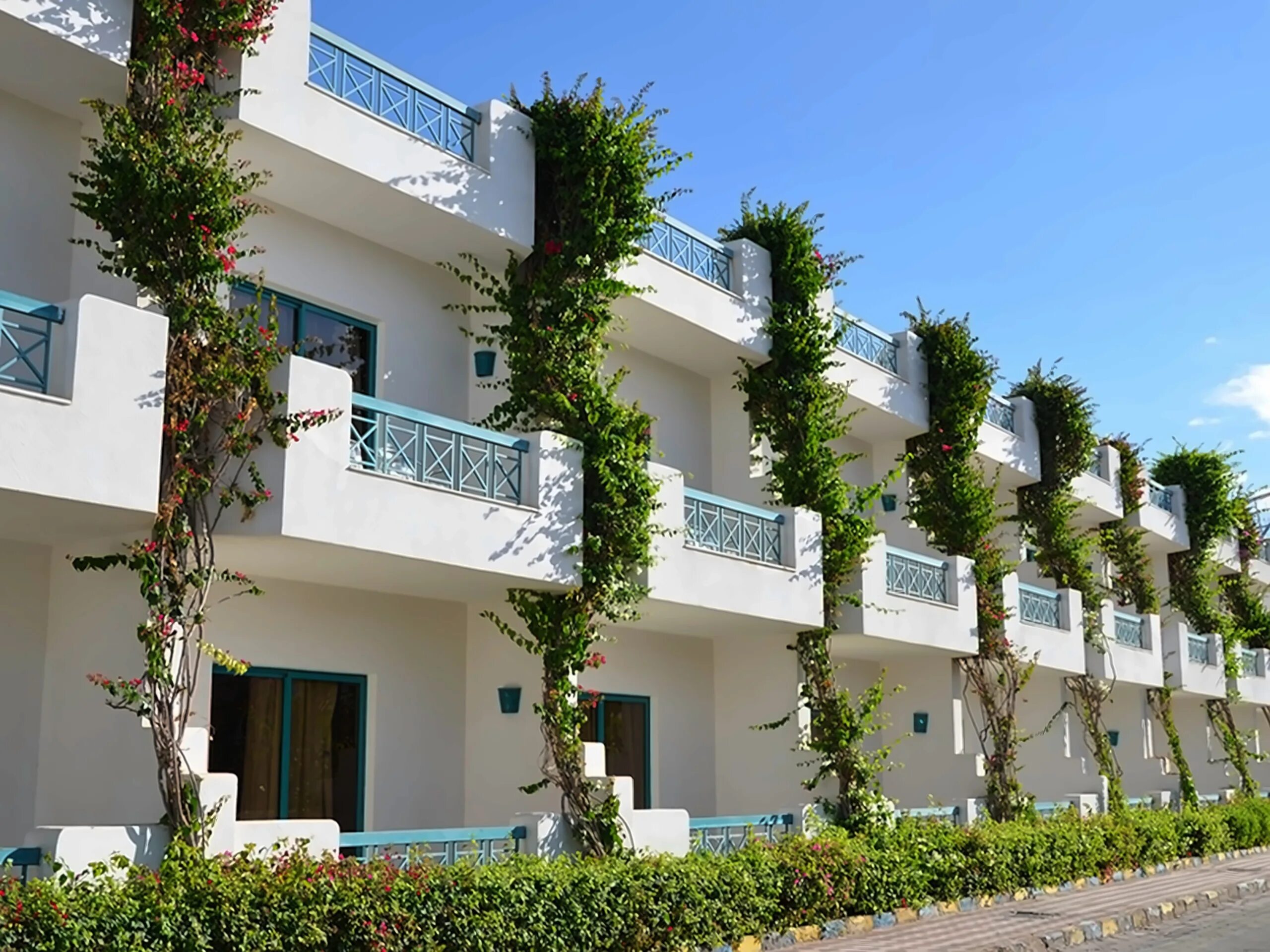 Шарм клиф шарм эль шейх. Отель sharm cliff resort 4*. шарм клифф резорт 3 шарм-эль-шейх. sharm cliff resort 3 египет.