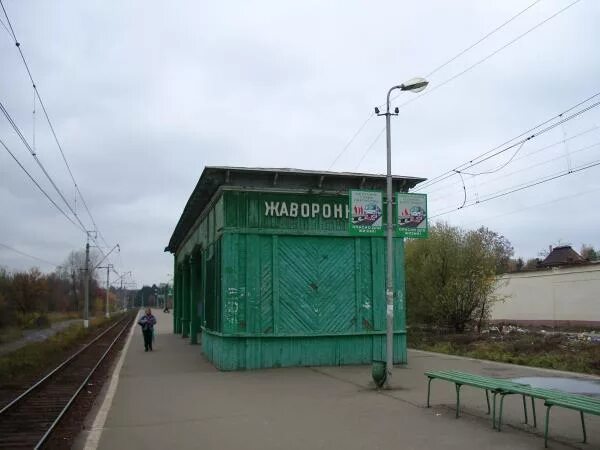 Белорусское направление жаворонки