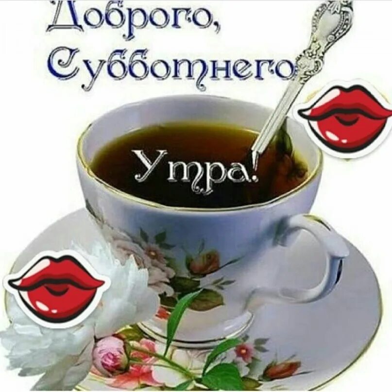 С добрым субботним утром красивое. Пожелания с добрым утром в субботу. стикеры с добрым утром. поздравления с добрым утром субботы. пожелания с добрым субботним утром.
