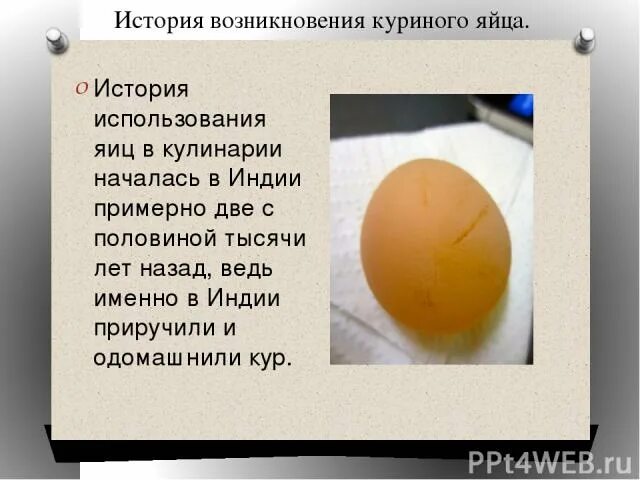 Мама яички рассказ. История куриного яйца. Сообщение про куриные яйца. История возникновения яйца. Игра яичко для курочки.