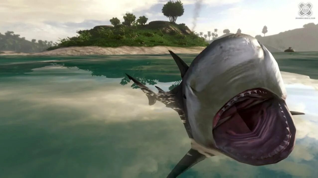 Фар край 3 акула. Far cry 3 акулы. Far cry 3 акулы. Фар край акула. Фар край 6 акулы.
