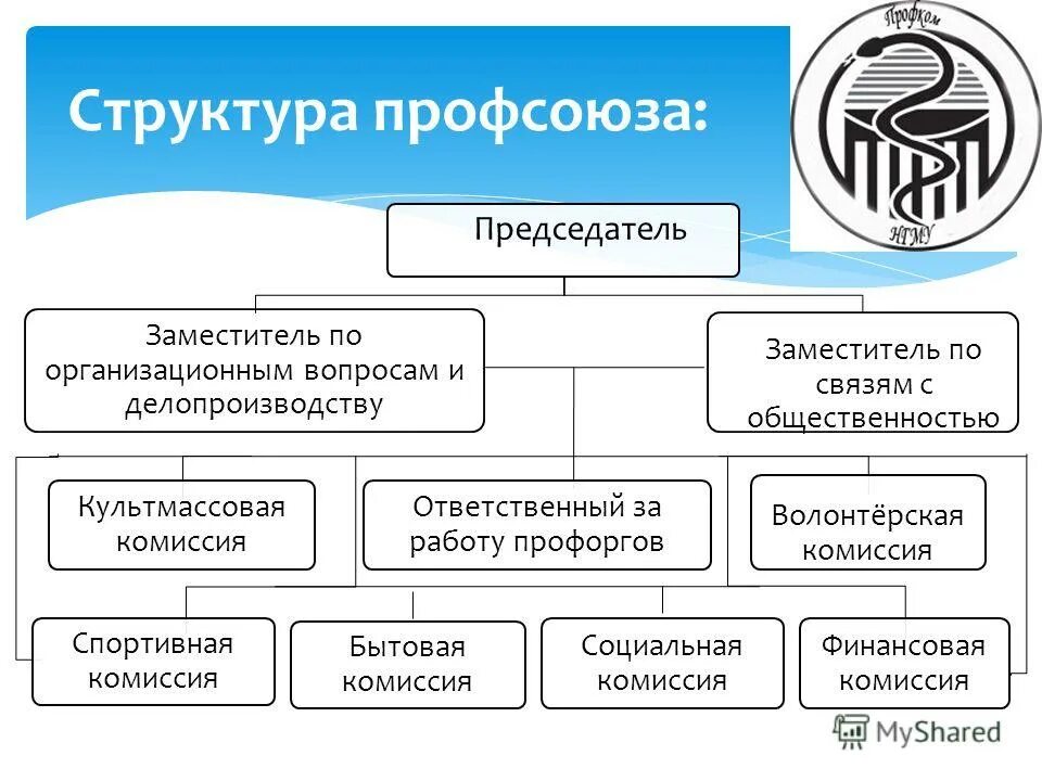 Ли профсоюз. Организационная структура профсоюзной организации. структура первичной профсоюзной организации. структура профсоюзного комитета предприятия. организационная структура профсоюзов.
