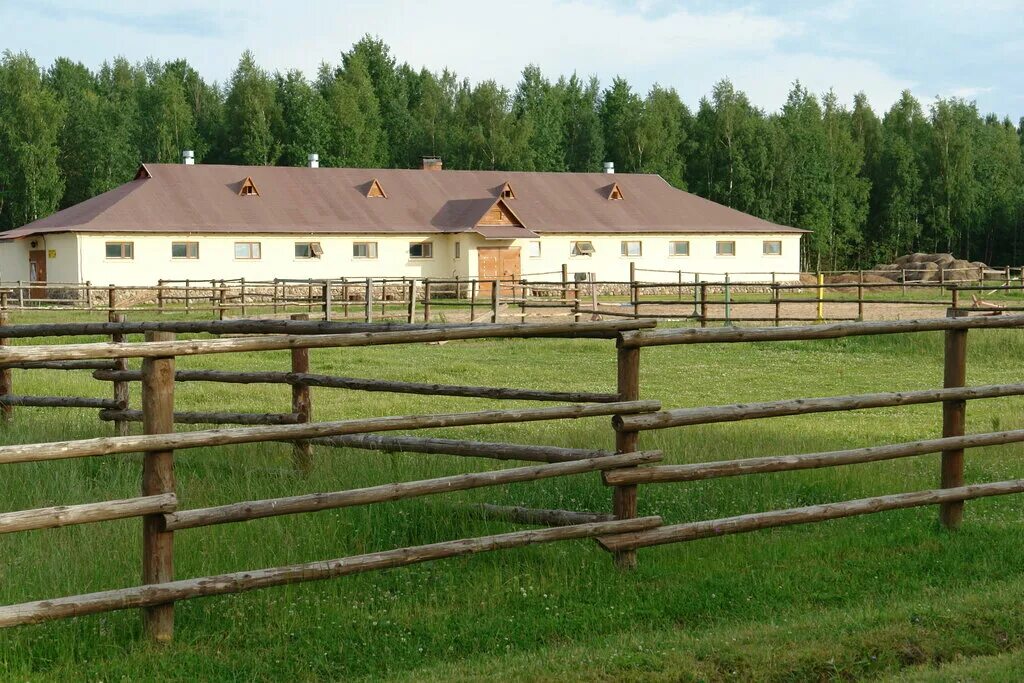 Поселок кск. КСК Колкуново. Деревня Колкуново. Колкуново конюшня. Конюшня Заречье Селигер.