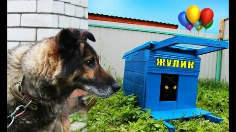 Видео будка