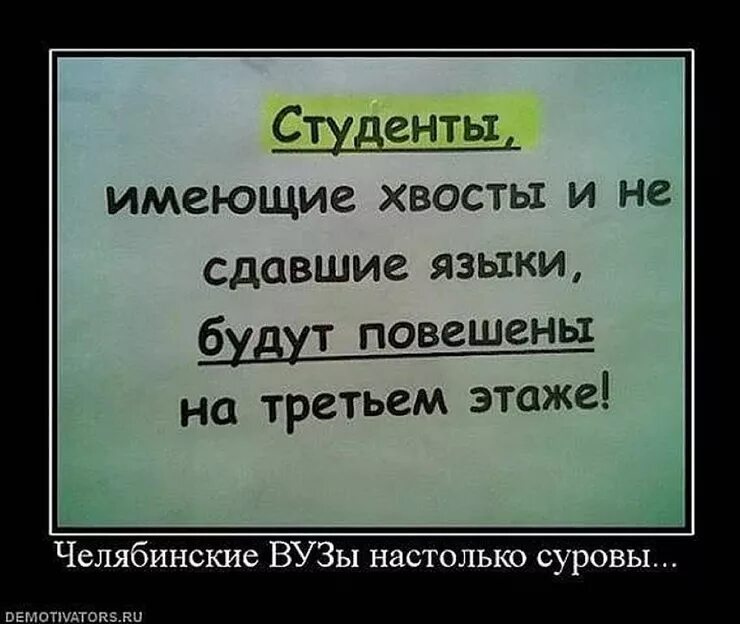 Смешные цитаты про студентов. Цитаты про студентов. Афоризмы про студенческие годы. Смешные фразы про студентов. Цитаты про студентов.