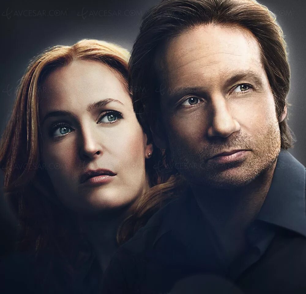 X files 4pda. X files сериал. x-files 1 сезон постер. секретные материалы сериал постер. секретные материалы 10 сезон постер.