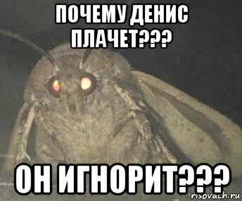 Почему игнорит сообщения