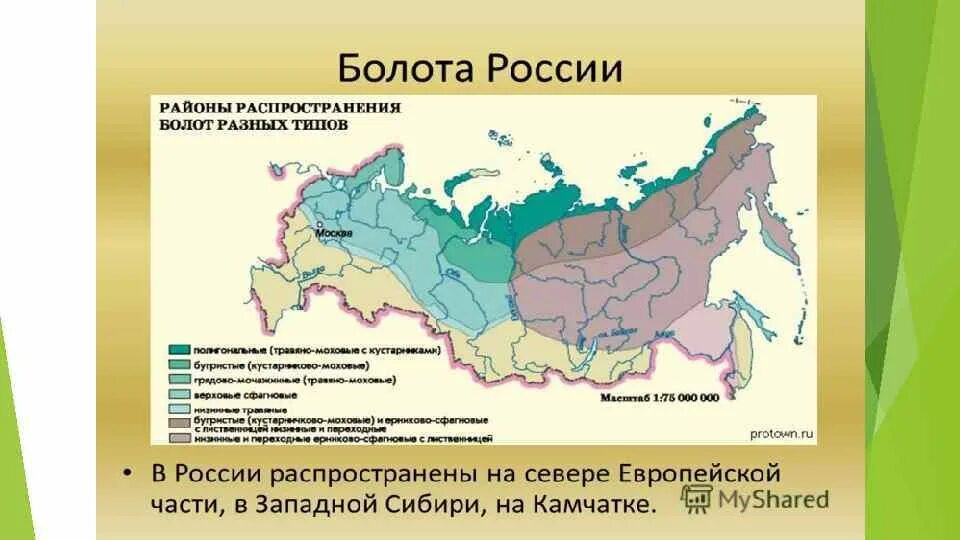 Карта распространения болот на территории России. Районы распространения болот в России на карте. Карта России с болотами. Болота России на карте. В какой области стока