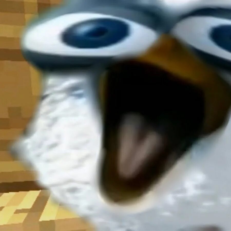 Птица так. Пцитса кричит мем белая. Орущая птица. Белая птица мем. Белая птица мем.