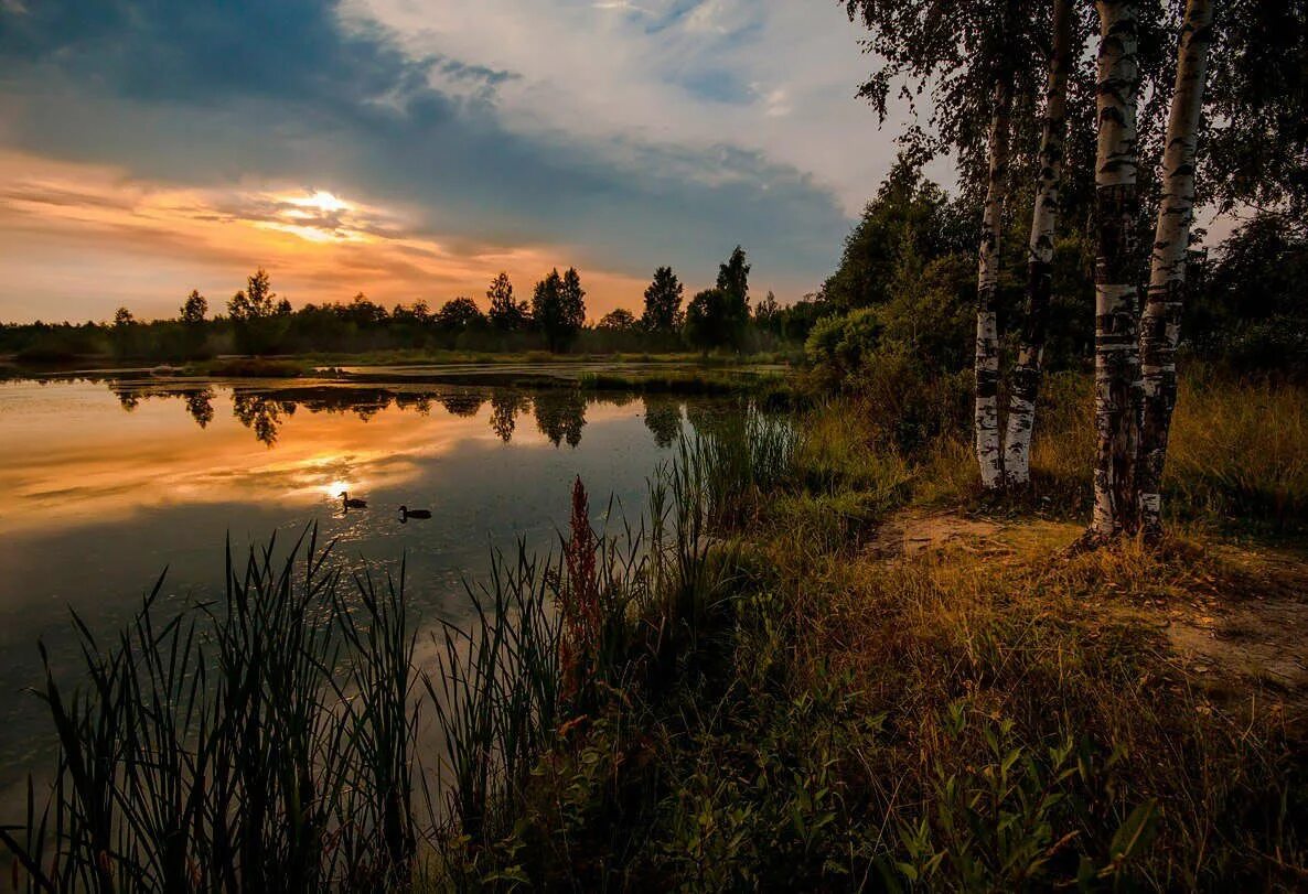 Красивая русская земля. Русская природа. Красота русской природы. Пейзажи России. Фотоискусство пейзаж.