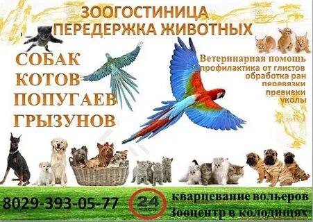 Адреса передержек