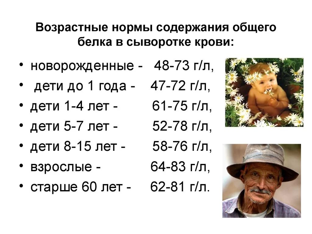 Белок норма у мужчин после 50. Норма общего белка в сыворотке крови. Содержание белка в крови норма. Общий белок сыворотки крови норма. Нормальное содержание в сыворотке крови белка.