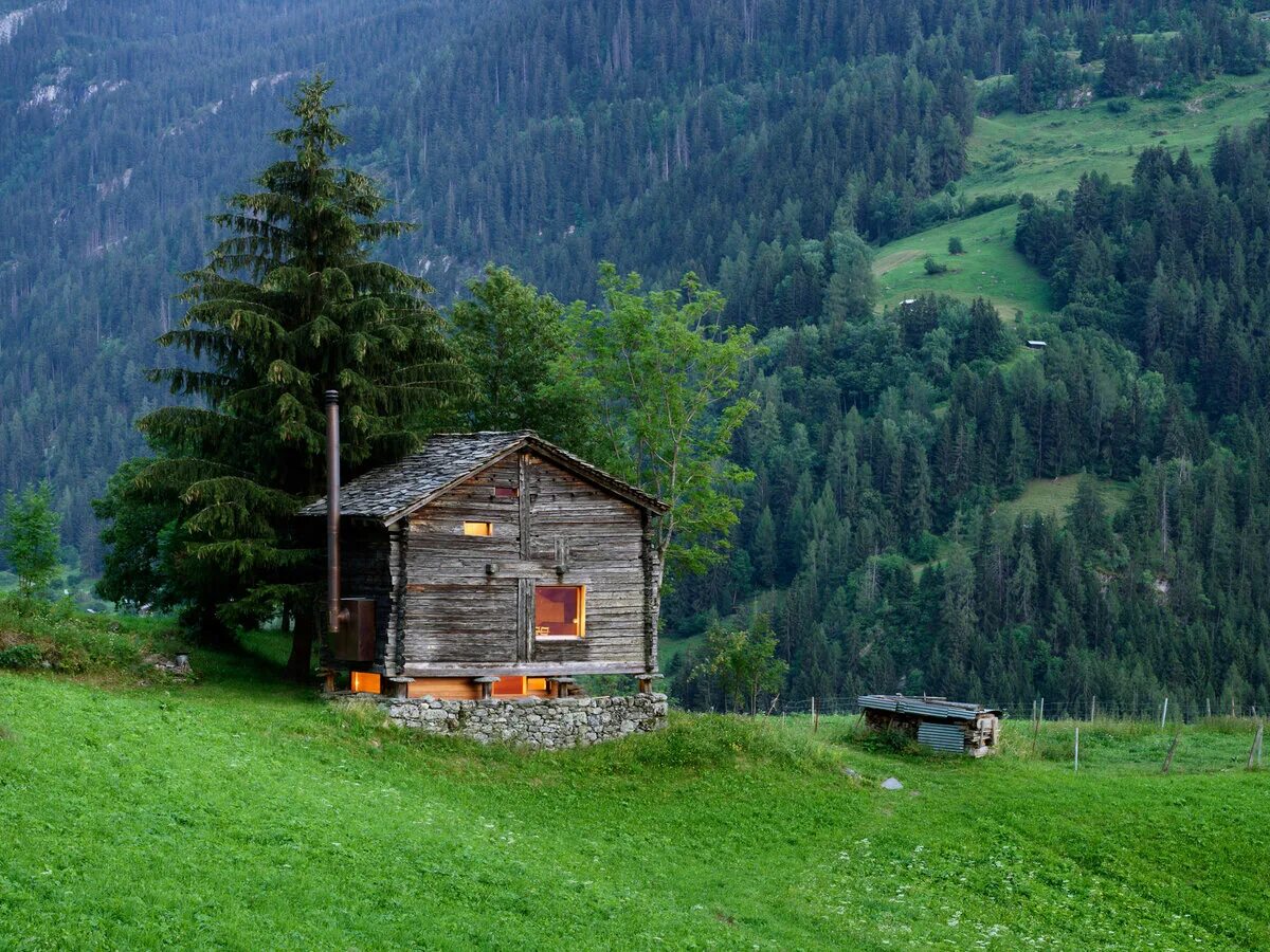 Где то среди леса среди леса. Хижина в горах Швейцарии. Горные Хижины в Швейцарии. Хижина гномов, Британская Колумбия. Домик-землянка в швейцарских Альпах.