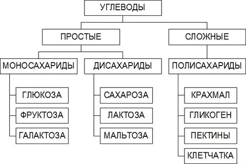 Углеводы и минеральные элементы